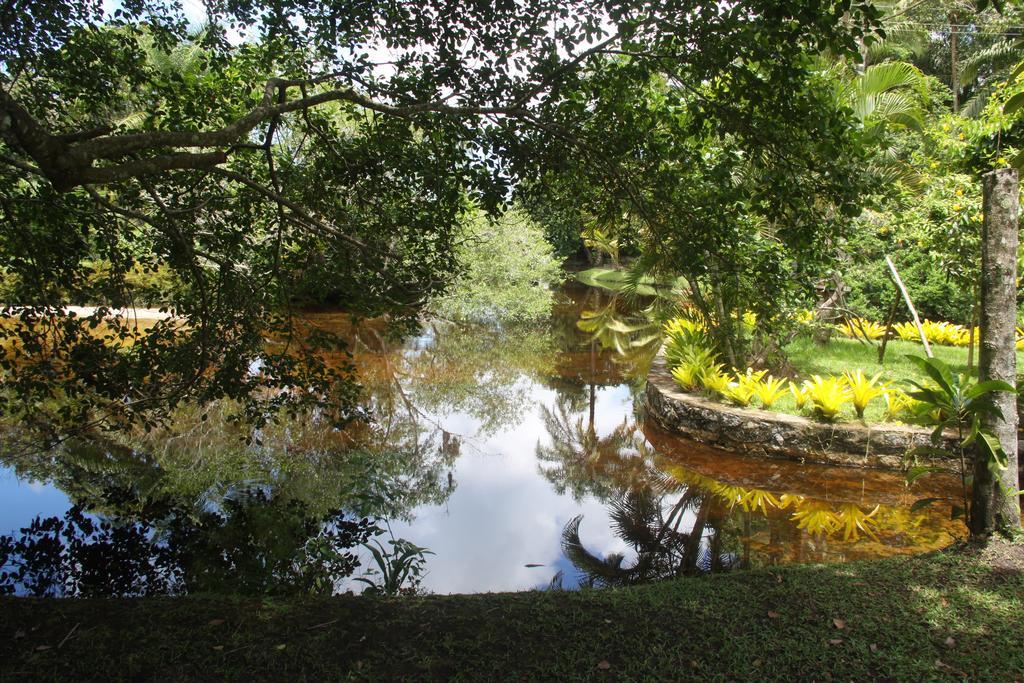 Tororomba Olivença